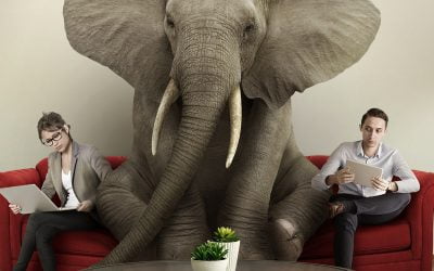 Culturalism: the elephant in the room?
