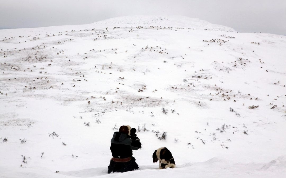 Why transcultural approaches are indispensable in addressing mental health: a focus on Sámi Indigenous People