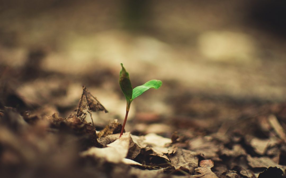 What gives you hope?