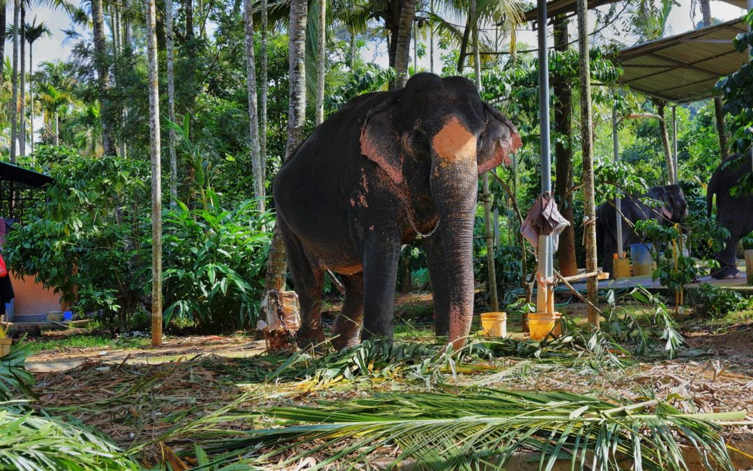 A Poem – Representation